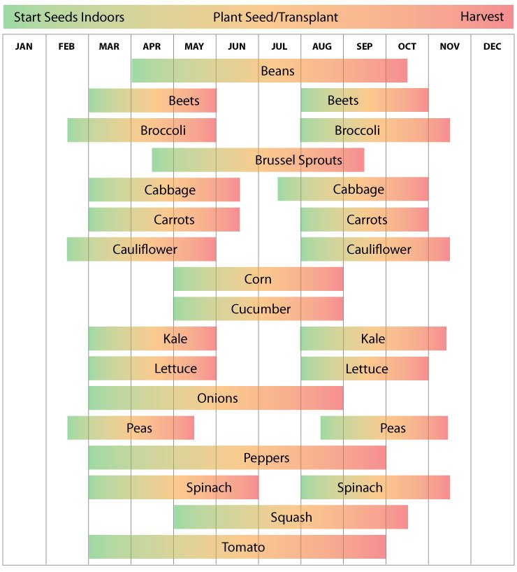 8. Calendar for Planting 1